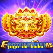 jogo do bicho crash bingo